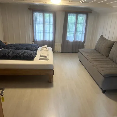 Apartment Olti *